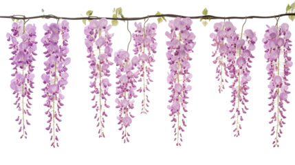 Beautiful Purple Wisteria Flowers Hanging Gracefully From Branches Generative AI