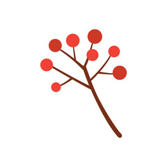 Winter red berries branch isolated on white background.