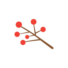 Winter red berries branch isolated on white background.