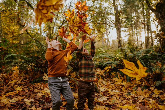 Little boys throwing colorful fall leaves in the air