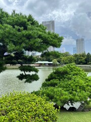 Hamarikyu Gardens, Japan