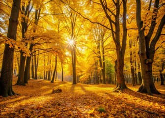 Fototapeta premium Capturing the Golden Essence of Autumn: Low Light Photography of Yellow Trees in a Serene Forest Setting, Emphasizing the Warmth and Beauty of Fall Foliage at Dusk