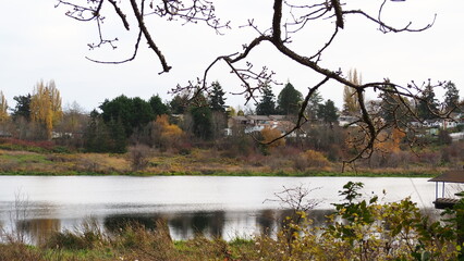 Swan Lake in Victoria, BC, Canada © Yael