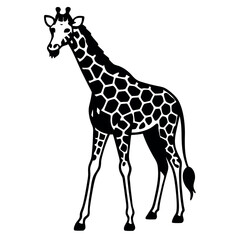 Fototapeta premium a black and white silhouette of a giraffe's head