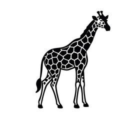 Naklejka premium a black and white silhouette of a giraffe's head