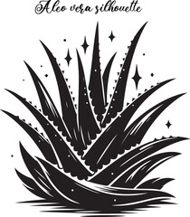 Aleo vera silhouette isolated on white background