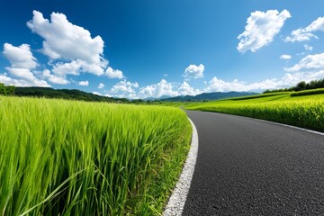 Background of a rural road winding through a field of tall grass, evoking a peaceful countryside