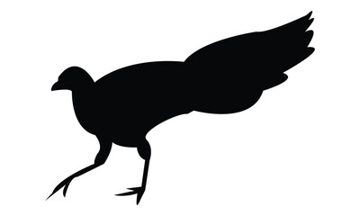 Wood Peafowl Silhouette And Vector Illustration. 