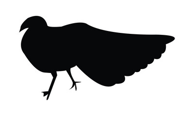 Wood Peafowl Silhouette And Vector Illustration. 