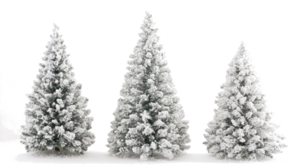 Delicate Christmas Trees in Soft Tones on a Transparent Background Generative AI