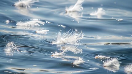 Soft White Feathers Floating - a delicate and serene visual. The soft white feathers create a calming and gentle atmosphere, evoking a sense of peace and lightness.