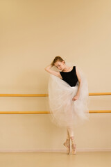 Fototapeta premium Ballet dancer strikes pose with tulle in dance studio