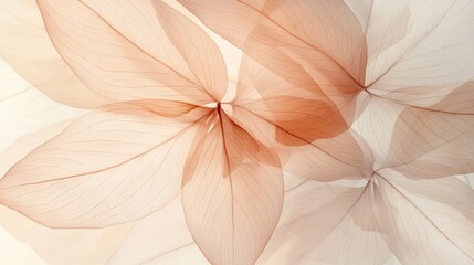 Nature abstract of flower petals beige transparent leaves with natural texture as natural background wide banner Macro texture neutral color aesthetic photo with veins of leaf botanical design