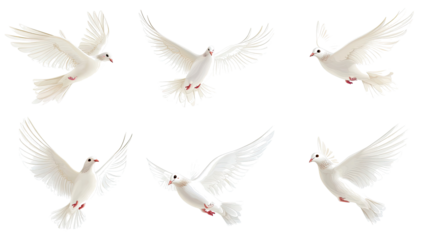 Set of Flying Wedding Doves Captured in a Serene Display Generative AI