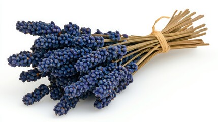 Hand-Painted Lavender Bundles in Blue Hues