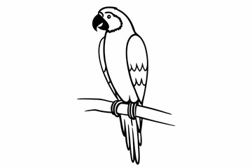 Line Art Parrot Vector Illustration Black and White Tropical Bird Outline