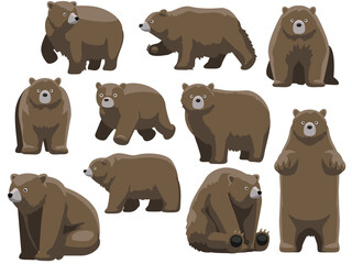 Kodiak Bear Standing Various Poses Cute Cartoon Vector Character