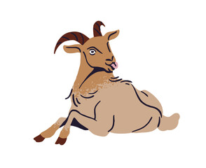 Cute goat lying, shows tongue. Funny milk livestock relaxes on ranch. Dairy farm animal, farming pet with horns, homestead fauna has a rest. Flat isolated vector illustration on white background