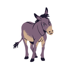 Cute donkey grazes on pasture. Funny mule stands on barnyard. Hoofed farm animal, gray ass walks. Ranch livestock, homestead pet, farming fauna. Flat isolated vector illustration on white background