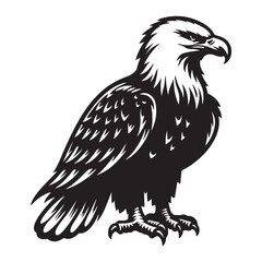 Eagle Silhouette vector art illustration