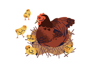 Mother hen and her chickens sit on nest. Happy family of poultry is at country. Cute ranch birds, feathered farm animals, fowl, livestock. Flat isolated vector illustration on white background