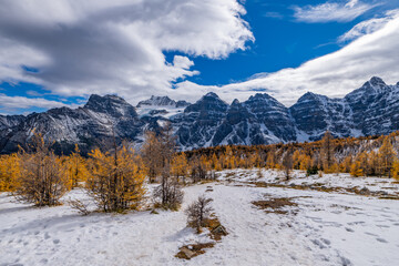 Colorful Fall Larch Valley Banff National Park Ten Peaks Panorama