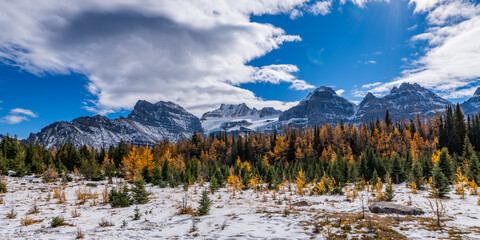 Colorful Fall Larch Valley Banff National Park Ten Peaks Panorama