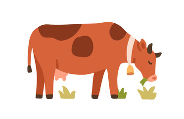 Milk cow grazing in country pasture. Cute farm dairy animal with neck bell feeding in countryside field. Eating grass, agriculture scene. Flat vector illustration isolated on white background
