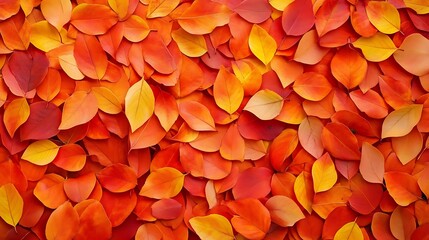 A vibrant collection of autumn leaves in shades of orange, yellow, and red, creating a warm, textured background.