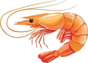 illustration of shrimp  isolated on a white background