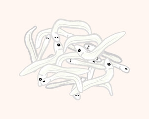 A group of small whitebait fish