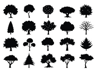 set of different types trees on white background