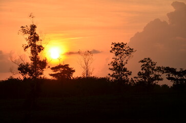  “Sunset over a field in Lampung with a golden sky, capturing the serene and picturesque evening landscape.”
