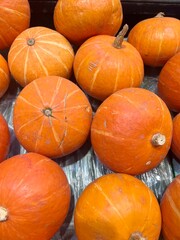 Photo of a bunch of fresh pumpkins in a container