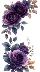 Partial watercolor floral border frame with violet roses, lilac peonies, eucalyptus greenery, semi-circular arch along top and bottom, transparent background, romantic and elegant