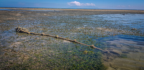 "Anchored Rope in Shallow Seagrass Bed: A Coastal View of Timor-Leste’s Scenic Shoreline and Marine Life" © octavio