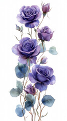 Watercolor floral border frame with gradient of purple roses and lilac flowers, delicate eucalyptus foliage, soft transparent background, vertical frame layout, gentle and refined