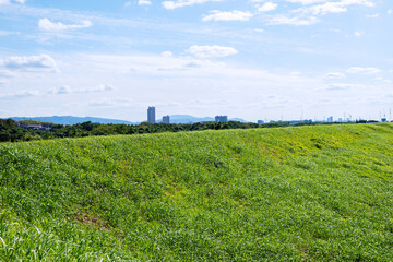 島本町の風景