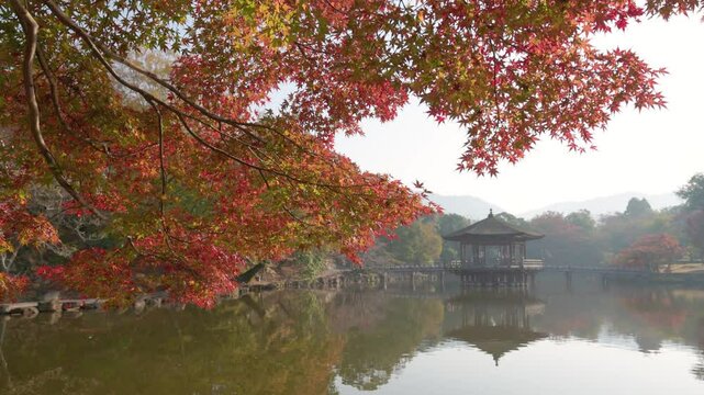 秋の奈良古都の池にのびる紅葉と