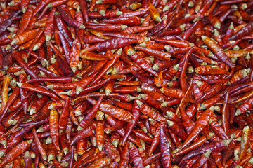  red dry chili pepper as food background