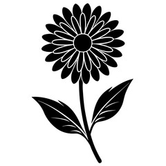 Calendula Flower Silhouette Vector.