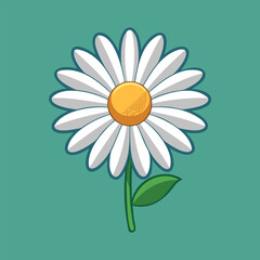 daisy flower vector art illustration for spring and floral design
