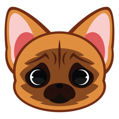 Cute French Bulldog with brown fur