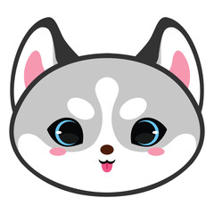 Cute Husky with light gray fur and blue Eyes