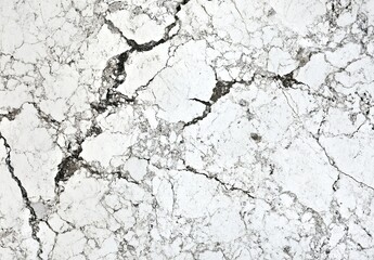 Fototapeta premium White marble stone texture background. Gray-white natural pattern of tile for counter, floor, and wall cladding in interior design.