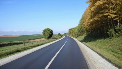 Fototapeta premium General view of a paved country road