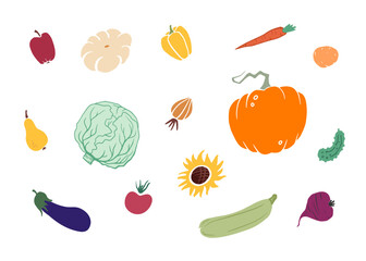 harvest fruits and vegetables arranged on white background. Silhouette style apples, pumpkins, carrots for autumn harvest illustration, poster, banner, garden promotions or eco-friendly campaigns.