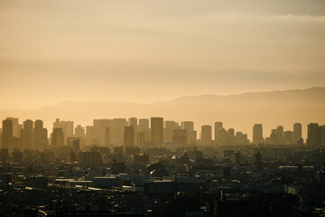 Fototapeta premium 9月の大阪の夕景