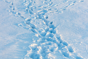 A snow covered path with a few footprints in it