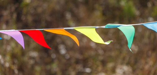 A colorful banner with rainbow flags hanging from a tree